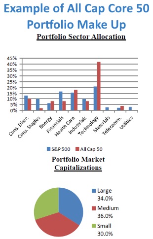 Graph Showing Portfolio Sector Allocation and Chart Showing Capitalizations